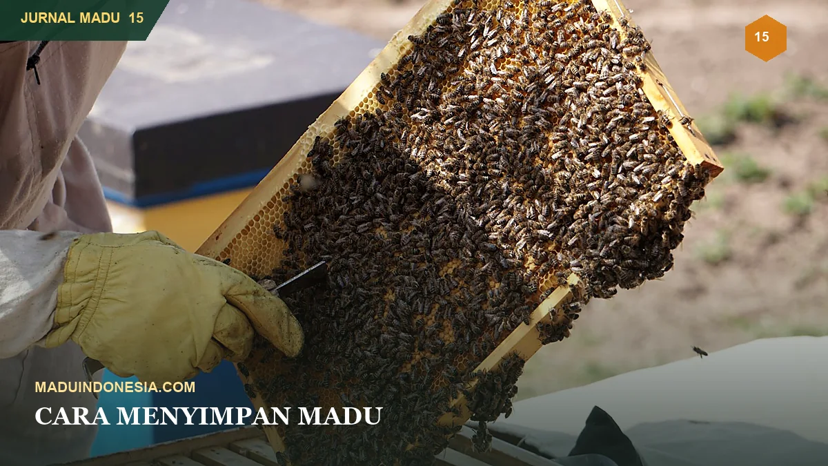 Cara Menyimpan Madu agar Mutu dan Aromanya Terjaga