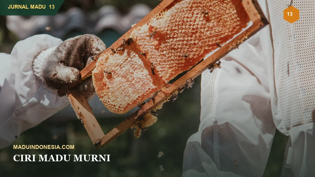 Ciri Madu Murni: Fakta dan Mitos Pengujian Rumahan