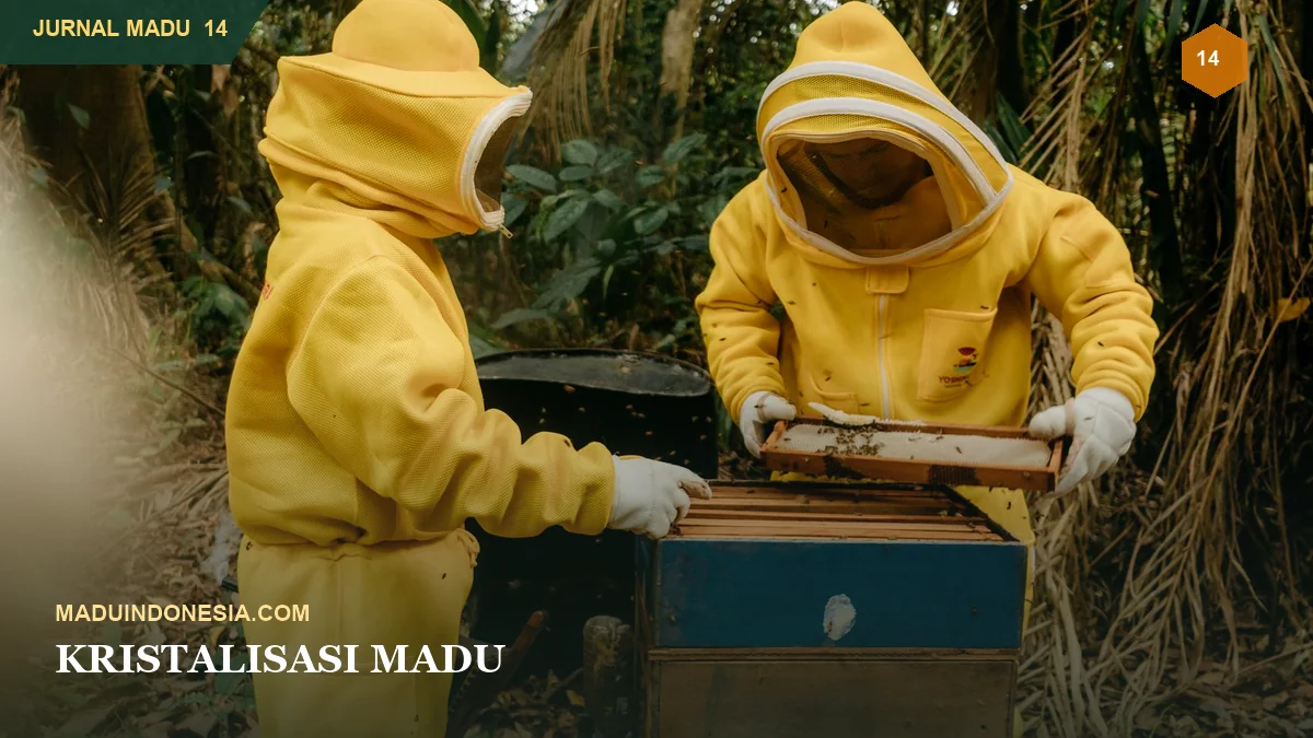 Kristalisasi Madu: Proses Alami, Penyebab, dan Penanganan
