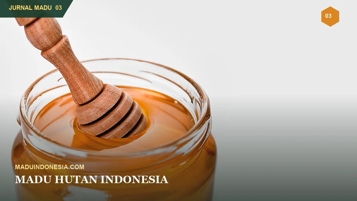 Madu Hutan Indonesia: Dari Habitat Alami hingga Botol