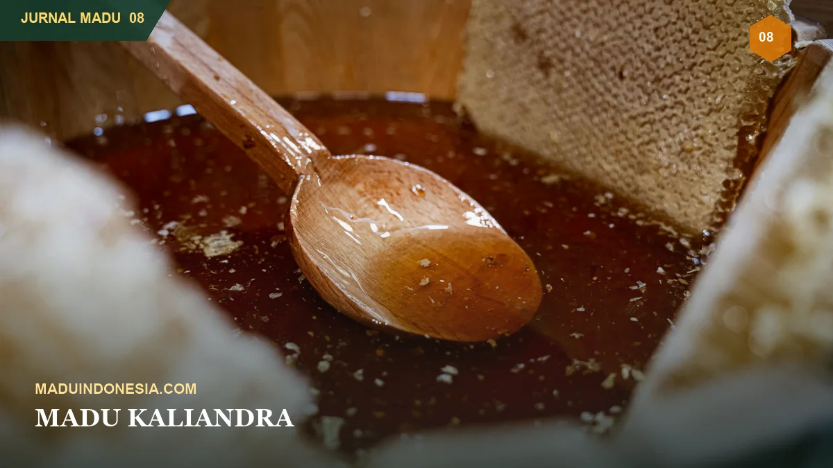Madu Kaliandra: Mengenal Sumber Nektar dan Profil Rasanya