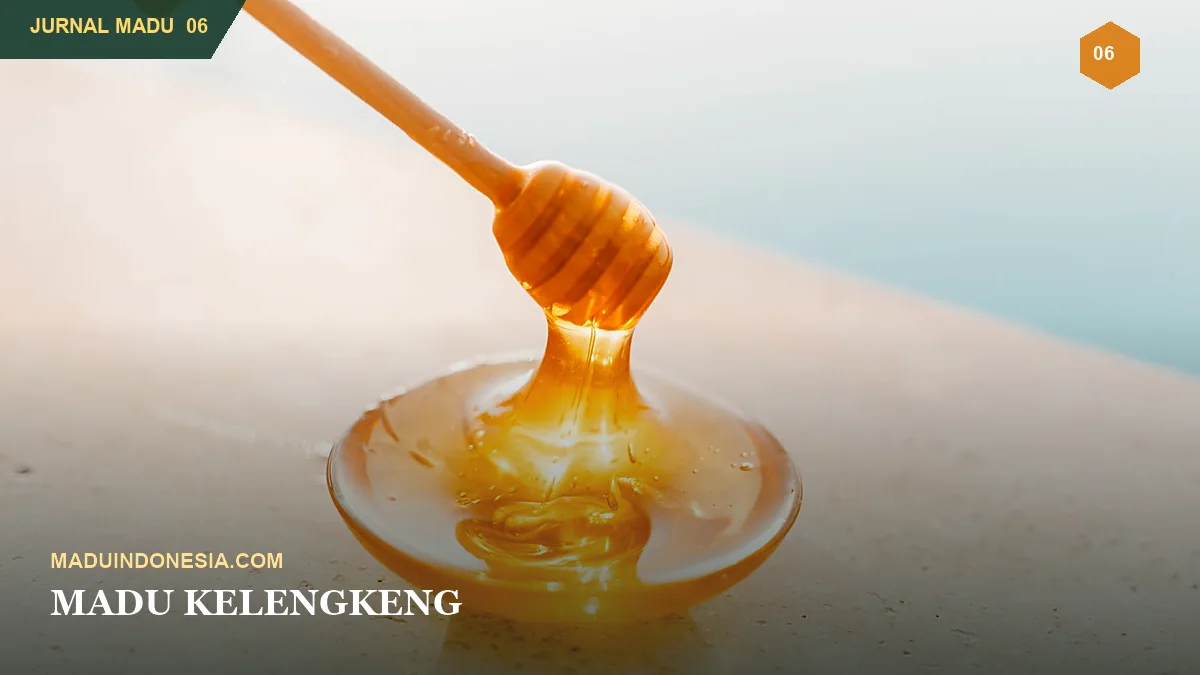 Madu Kelengkeng: Cita Rasa dan Tips Memilih Produk
