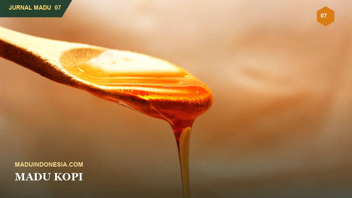 Madu Kopi Indonesia: Aroma, Asal Kebun, dan Karakter