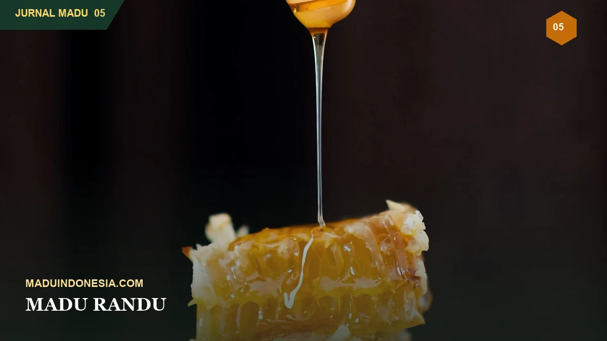 Madu Randu: Profil Rasa, Warna, dan Kegunaan Kuliner