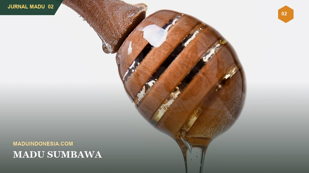 Madu Sumbawa: Karakter, Asal Panen, dan Cara Memilih