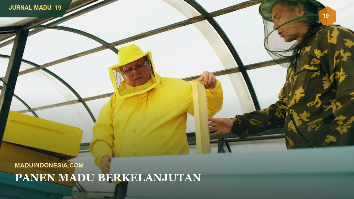 Panen Madu Berkelanjutan untuk Lebah, Hutan, dan Pemanen