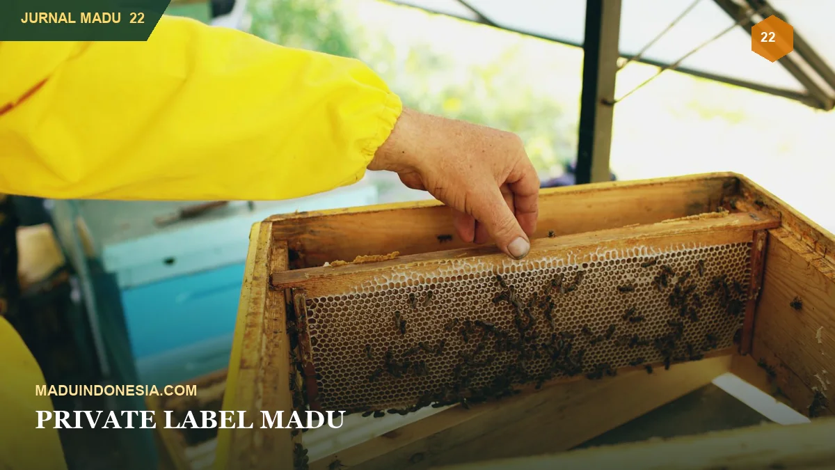 Private Label Madu: Dari Pemilihan Produk hingga Kemasan