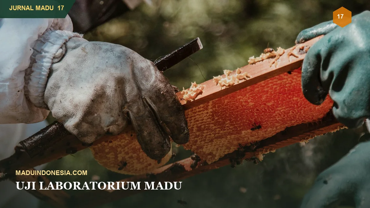 Uji Laboratorium Madu: Parameter Mutu yang Perlu Dipahami